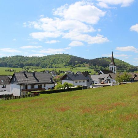 Ferienwohnungen Hartmann Medebach Esterno foto